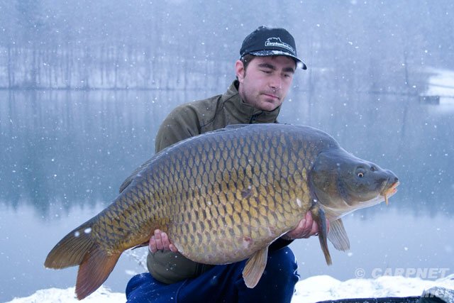 Schöner Schuppi mit tolen 21,5 kg - mein erstes Schneefoto :).