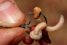 Maggot Klip Size:Medium