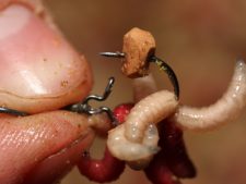 Maggot Klip Size:Medium