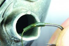 Korda Shrink Tube Small - Farbe: WEED