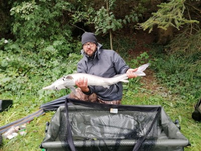 danube-fishing event 2020
