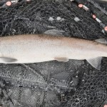 1 st Hucho 22/23