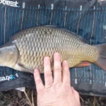 der erste CARP 4 Raki 2023 im Feb. 23