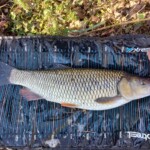 Polder-Fishing with Raki