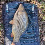 Polder-Fishing with Raki