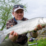 ... der erste Run auf R.F.C.N. (Red Fruit Chilli Nature) Boilies von A-Z