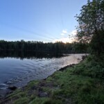feel the nature