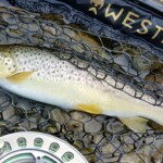 ... simply dryfly ...