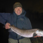 ... the king is back ...