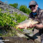 ... viele Schleimer musste ich landen, doch dann endlich mal eine Karpfen!