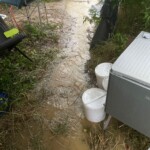 ... ein kurzes Gewitter ...