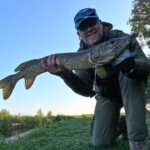 ... super, wenn der Plan aufgeht - aber es ist nicht einfach - hier mit der Fliege erfolgreich zu sein!