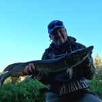 Polder - Hecht an der Fliegenrute macht echt Spaß!