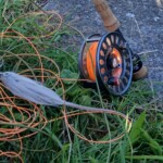 ... jedoch eine harte Nuss mit der Fliege einen Räuber abzugreifen in Holland!