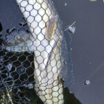 ... und dann ging es einfach so schnell!