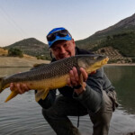 ... nur coooool .... einfach nur cool!