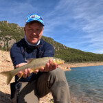 .... auf Trockenfliege ...