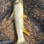 ... ein perfektes Erlebnis ... hoch in den Bergen von Andalusien!