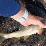 ... machmal läuft es ...