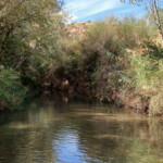 ... der kleine Fluss ... nur kleine Fänge, die großen Fische bissen einfach nicht ...