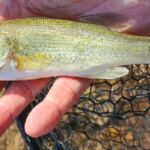 ... cool ... es fing an, etwas Spaß zu machen!