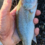 ... na, der legte sich schon ins Zeug!