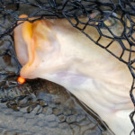 ... manchmal ist das einfach = auch effektiv!